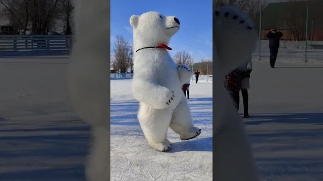 Заказать белого медведя Мишка умка закажите и порадуйте родных! +79826651006 смотреть онлайн