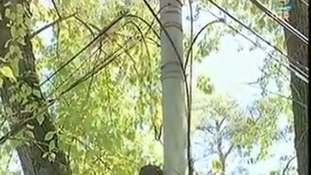 Белка лишила целый район Екатеринбурга интернет-связи смотреть онлайн