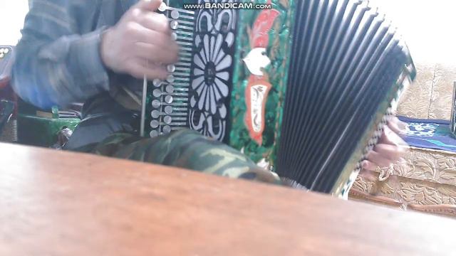 Я встретил Розу на гармони Куликово Поле смотреть онлайн