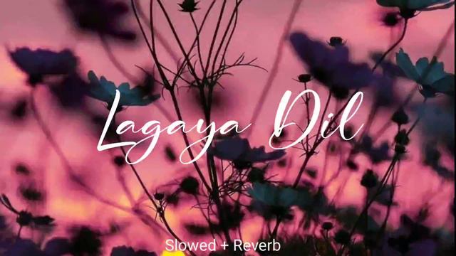 Lagaya Dil | Slowed + Reverb | Sajjad Ali | Lofi Bollywood 🌹 смотреть онлайн