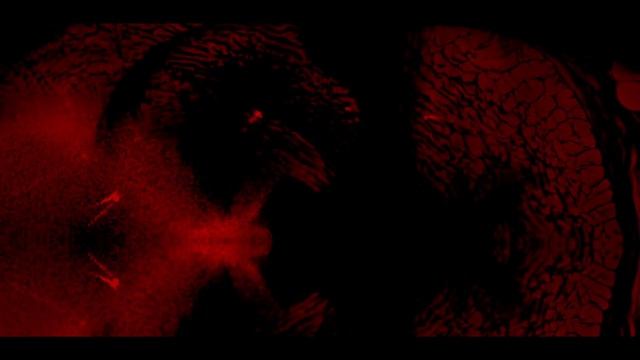 Project C██████ (Half Mermaid) - Teaser Trailer смотреть онлайн