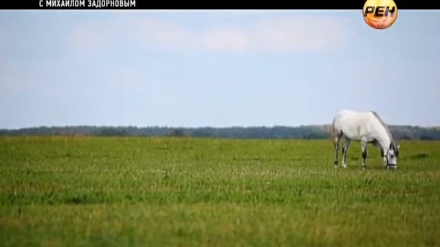 Рюрик Потерянная быль часть 2 из 2 смотреть онлайн