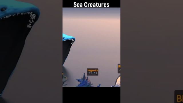 Bloop Deep Sea Creatures Size Comparison Part 7 #animals #animal #comparison #dog #dogs смотреть онлайн