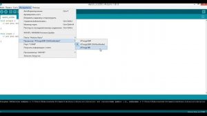 Отладочные платы (Arduino и аналоги). Настройки плат 328p Nano. Выбор типа контроллера и загрузчика.