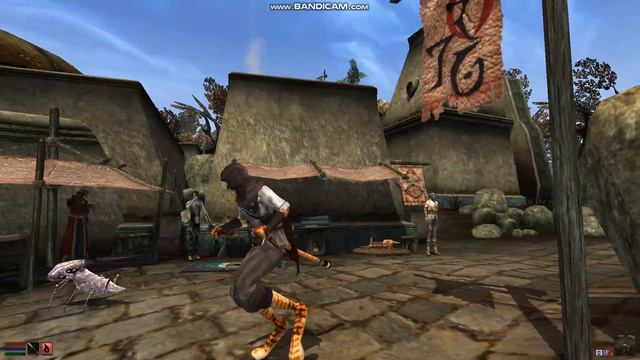 Morrowind travellers Clothing (Kajiit) смотреть онлайн