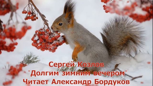 Сказки С. Козлова. Долгим зимним вечером смотреть онлайн