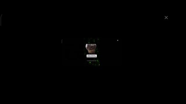 прохожу носкет нем смотреть онлайн