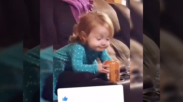 приколы.mp4 смотреть онлайн