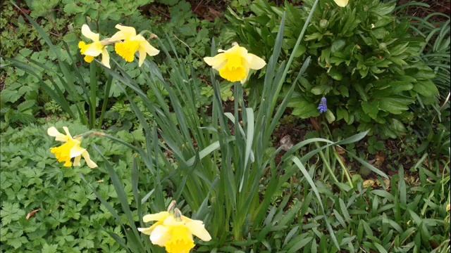 FujiFilm смотреть онлайн