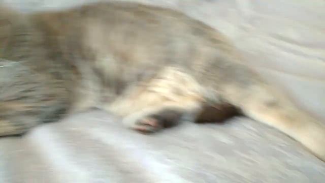 Запасы продуктов. Филимон. смотреть онлайн