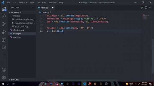 Black And White To Colorized Script! | Python Tutorials | Mista
