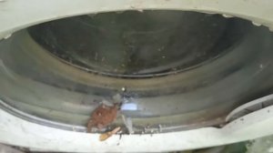 Запсутиться и работает ли стиралка ВЕКО спустя пять лет простоя во дворе рубрика Эксперемент NEW