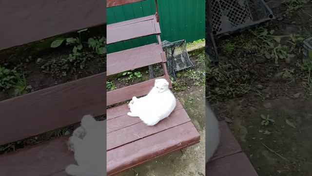 Потому что жизнь непроста, малыш. смотреть онлайн