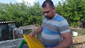 Солнечная воскотопка на 50 рамок