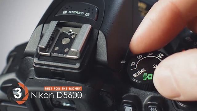Best Nikon Cameras ?: The Ultimate Beginner’s Buyer Guide | Digital Camera-HQ смотреть онлайн