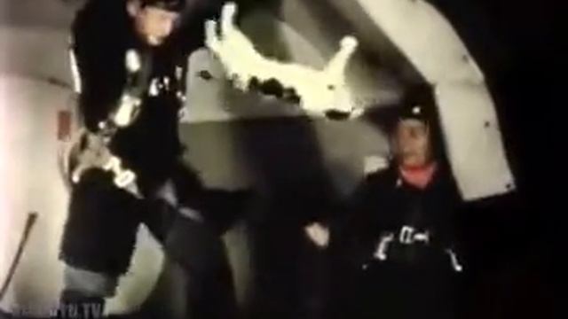 Животные в космосе смотреть онлайн