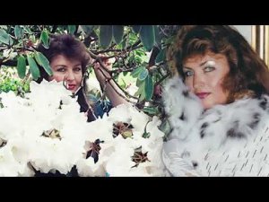 Откровения Светланы Левашовой. (документальный фильм)