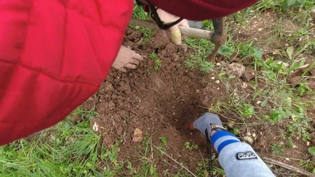 Abbastanza profondo... (metal detector) смотреть онлайн
