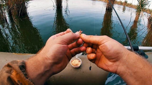 ЛОВЛЯ САЗАНА НА ПОПЛАВОЧНУЮ УДОЧКУ РЫБАЛКА 2023// ПРОВЕРЯЕМ РАКОЛОВКИ смотреть онлайн