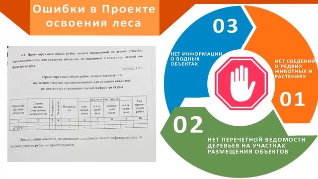 ООПТ Видновский лесопарк. Почему нельзя стоить футбольное поле? Доклад Хомякова Анатолия смотреть онлайн