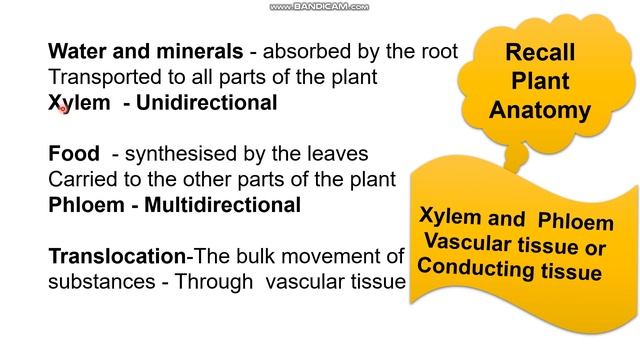 10th std biology,unit 14 transportation in plants,PART-1,Samacheer Kalvi TN смотреть онлайн