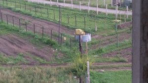 Военный сталк по заброшенной войсковой части №14892      P.S. опечатка в слове представляю.