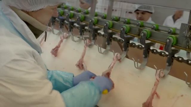 Работа в Польше смотреть онлайн