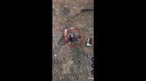 ЖУТКИЕ видео из РАНДОНАВТИКИ / Randonautica