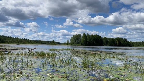Duas brigadas das Forças Armadas Ucranianas fugiram das suas posições.