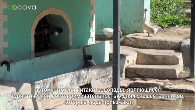 Спасём Цыпова! смотреть онлайн