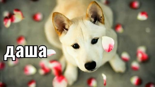 Имена девочек смотреть онлайн