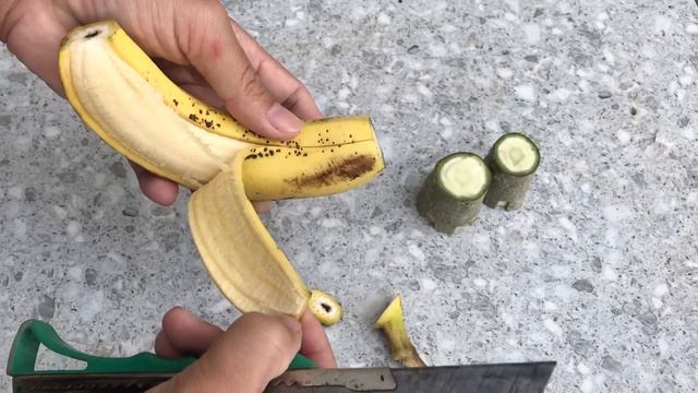 Instructions for extracting Adenium flower branches from the stem смотреть онлайн