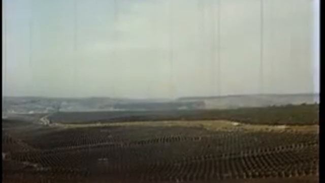 Надежда Чепрага - 