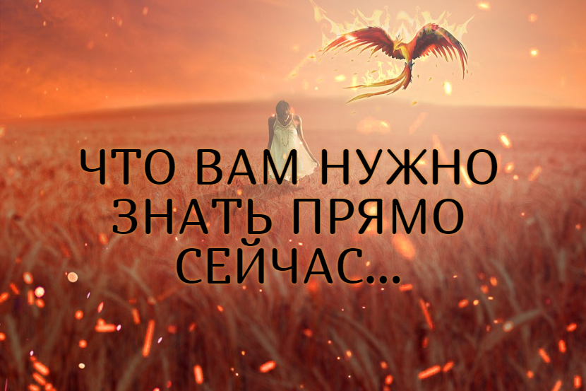ПОДСКАЗКА ОТ ВЫСШИХ СИЛ!...Таро расклад|Таро исцеление|