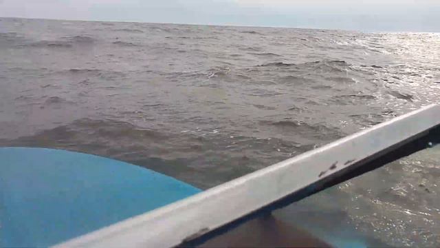 Чудское озеро качает