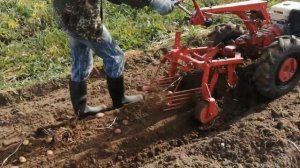 Мотоблок мтз-09 и картофелекопалка кфт-2