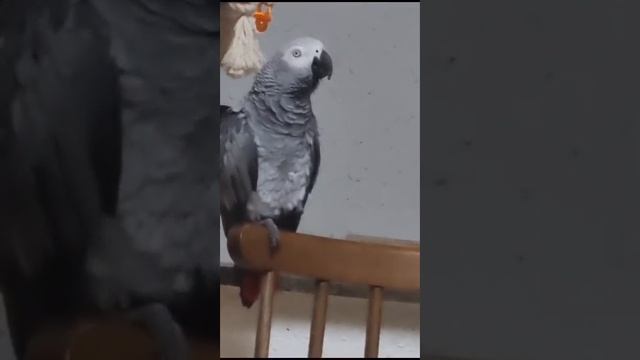 - печеньку мама давала... - опять? замолчи!.. смотреть онлайн