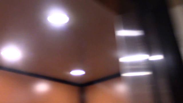 Schindler Hydraulic Elevators at the Wingate Hotel, Duluth, GA смотреть онлайн