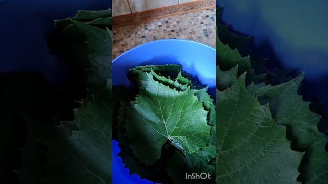 Долма получилась выше всех похвал?. Время варки 1час 15мин, плюс 15мин,чтобы бульон впитался в долм смотреть онлайн