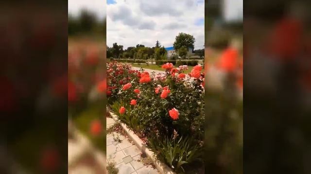? ⚫Новый парк в центре села Левокумского ⚫✨ смотреть онлайн