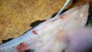 Разделать треску за три минуты.