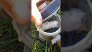 Хлорирование бассейна с помощью водяного насоса