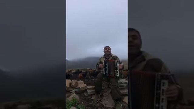 #Шабан Шабанов смотреть онлайн