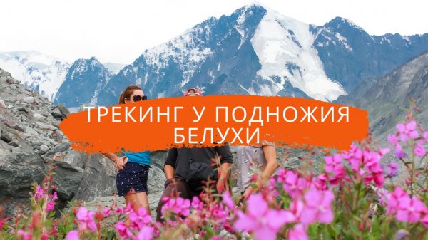 Поход по Алтаю без рюкзаков Трекинг у подножия Белухи