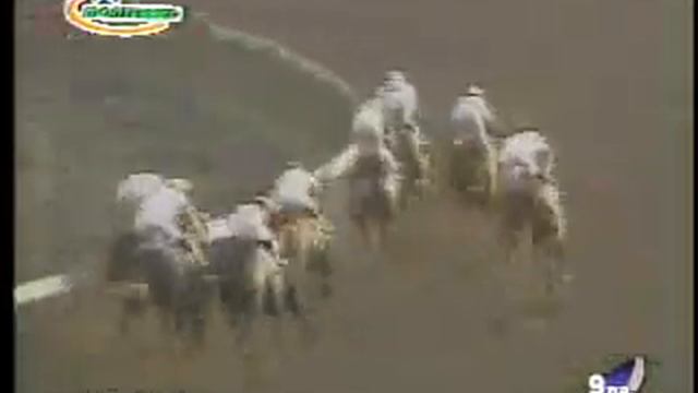 GRAN REBELDE - CLASICO LOS HARAS 2008 смотреть онлайн