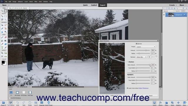 Learn How to Adjust Sharpness in Adobe Photoshop Elements 2023: A Training Tutorial смотреть онлайн