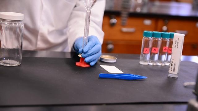 Performing Thin Layer Chromatography (TLC) смотреть онлайн