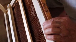 Приспособление для распечатки сот делаем своими руками.