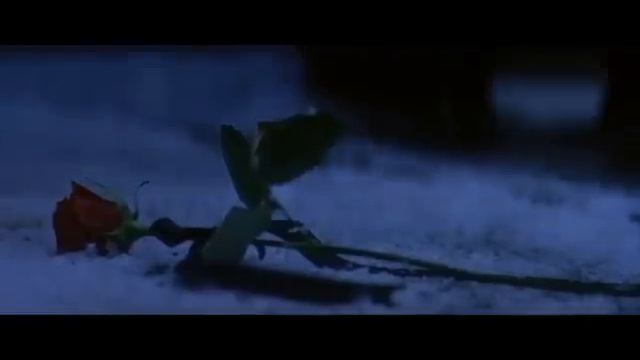 I Do Not Want To Lose You