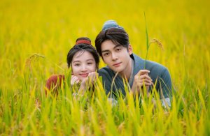 Дорама Романтика на ферме